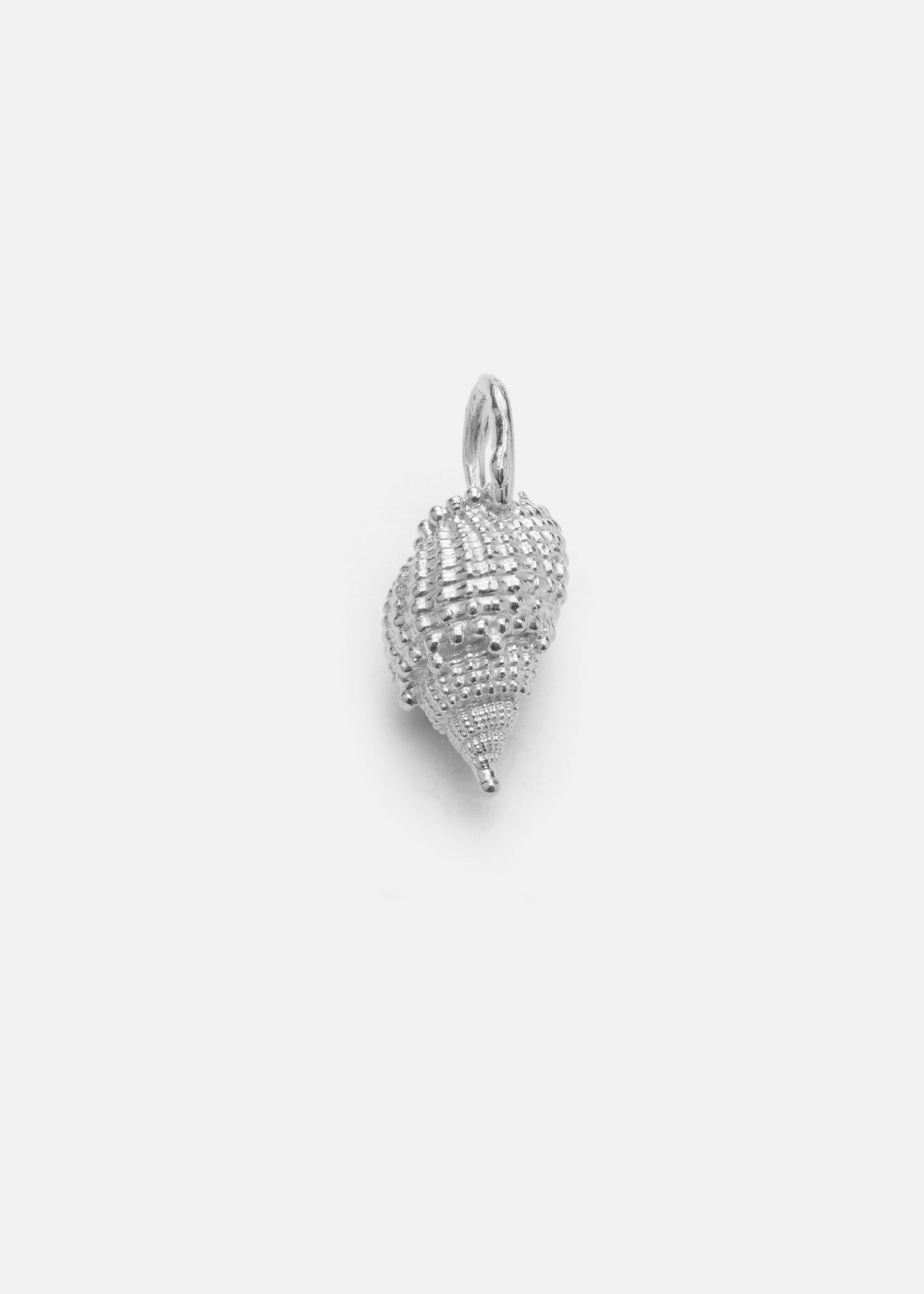 Shell Charms