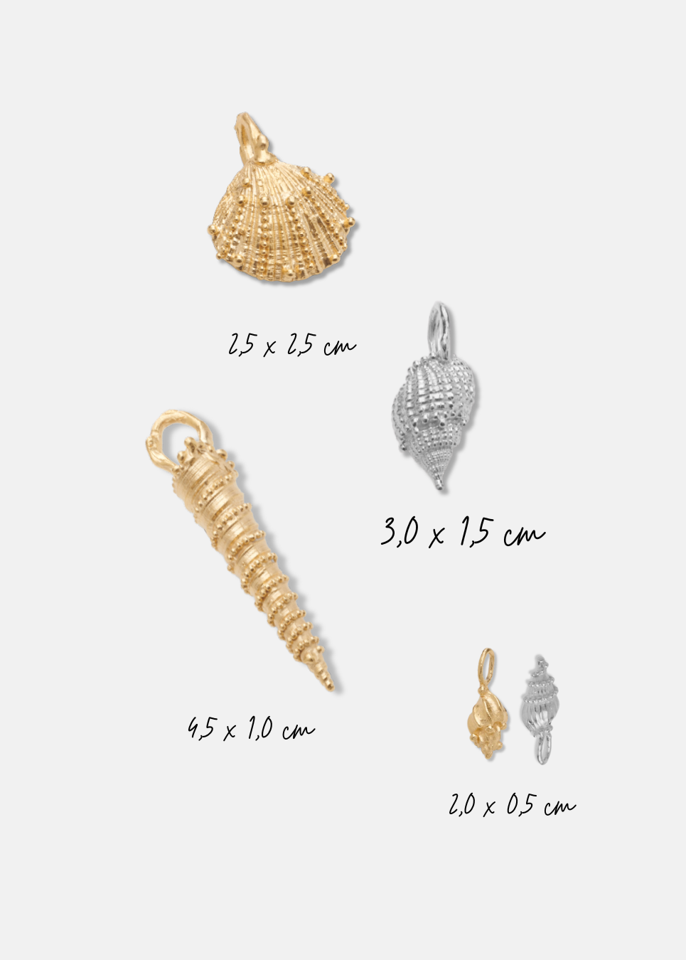 Shell Charms