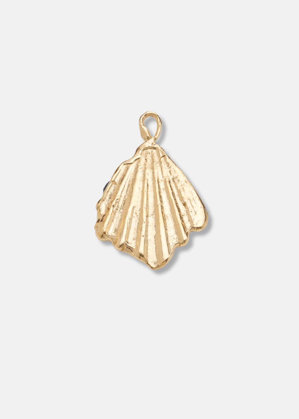 Big Shell Charm