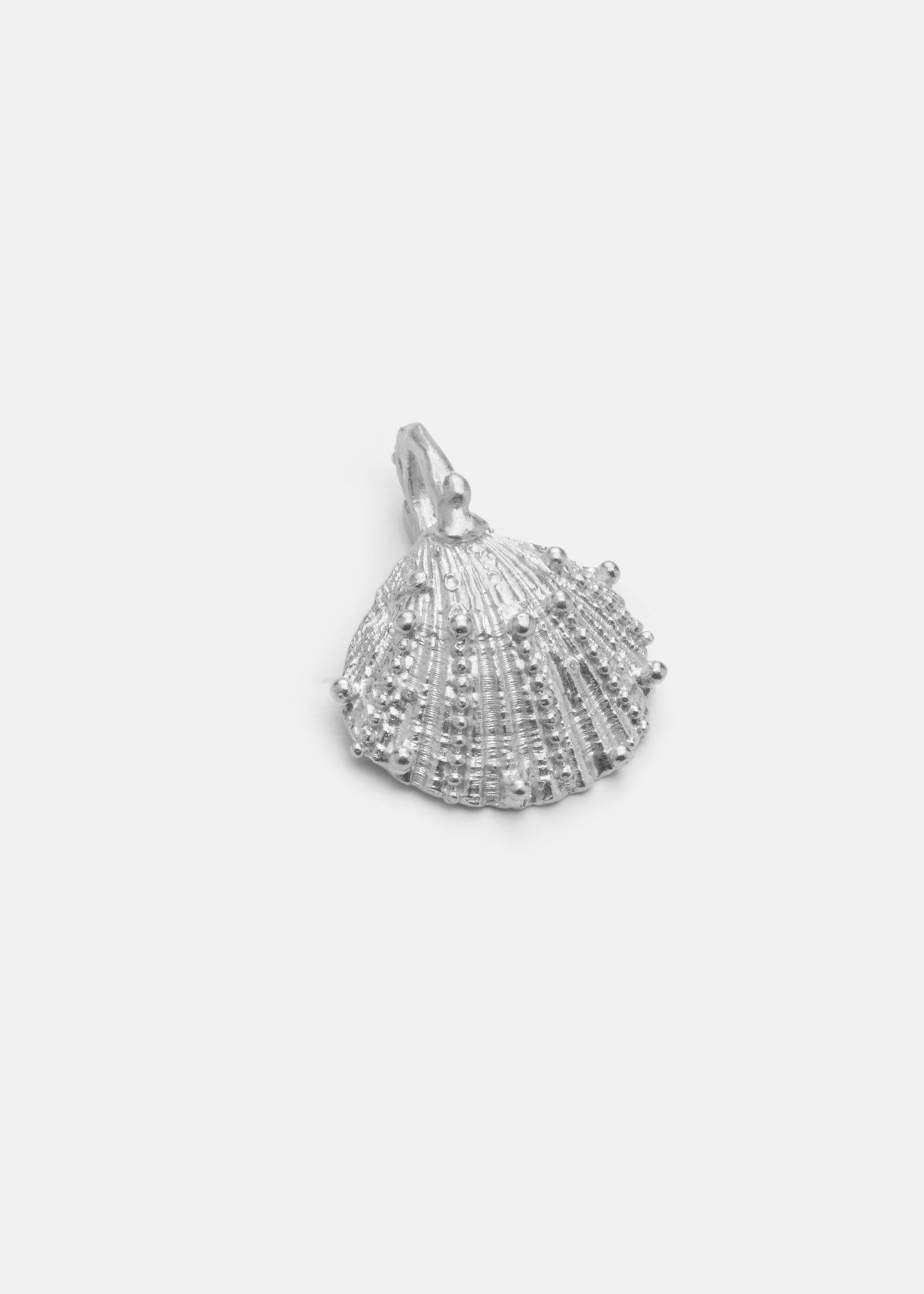 Shell Charms