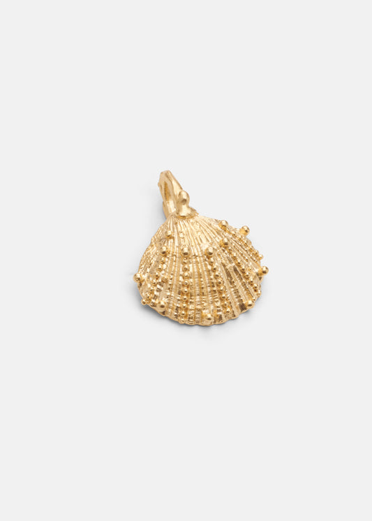 Shell Charms