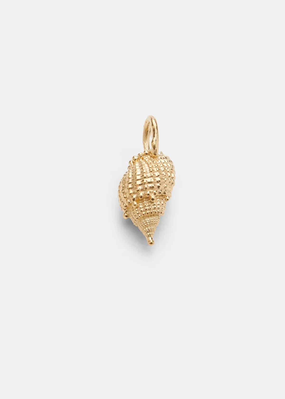 Shell Charms