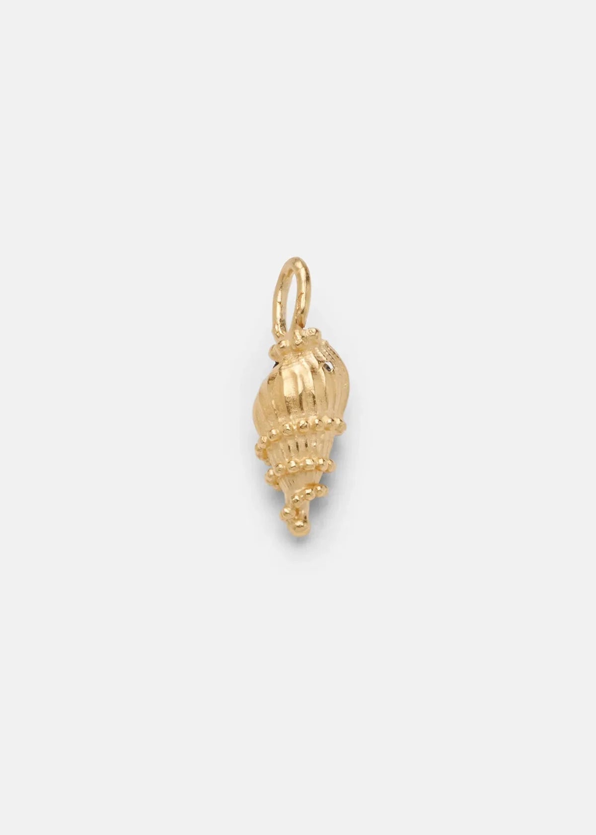 Shell Charms