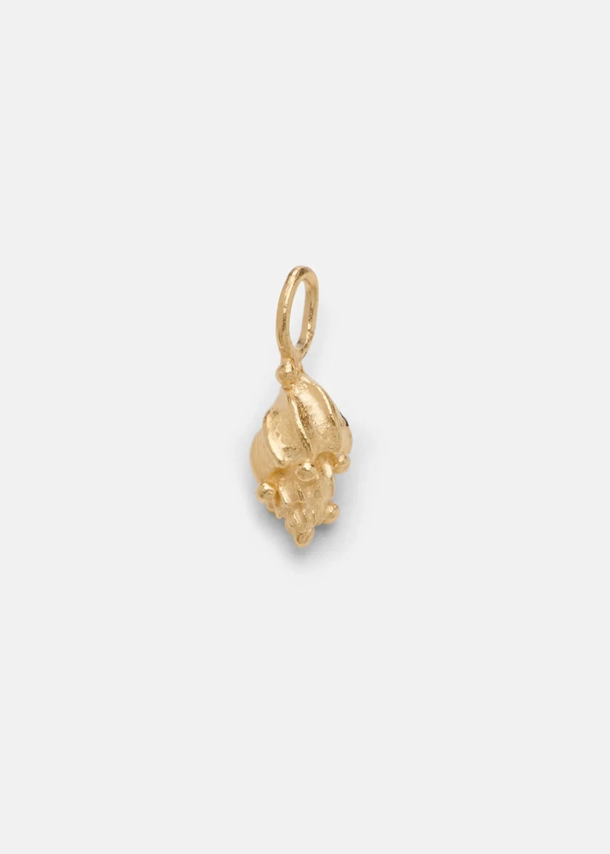 Shell Charms