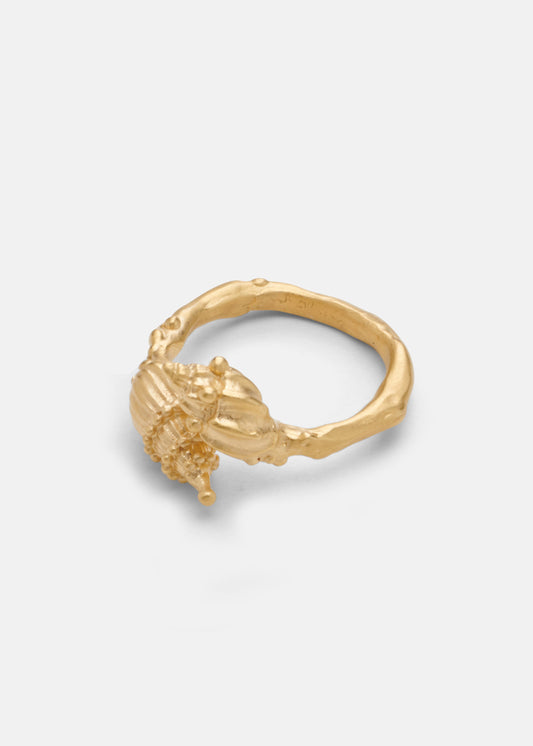 Shell Ring
