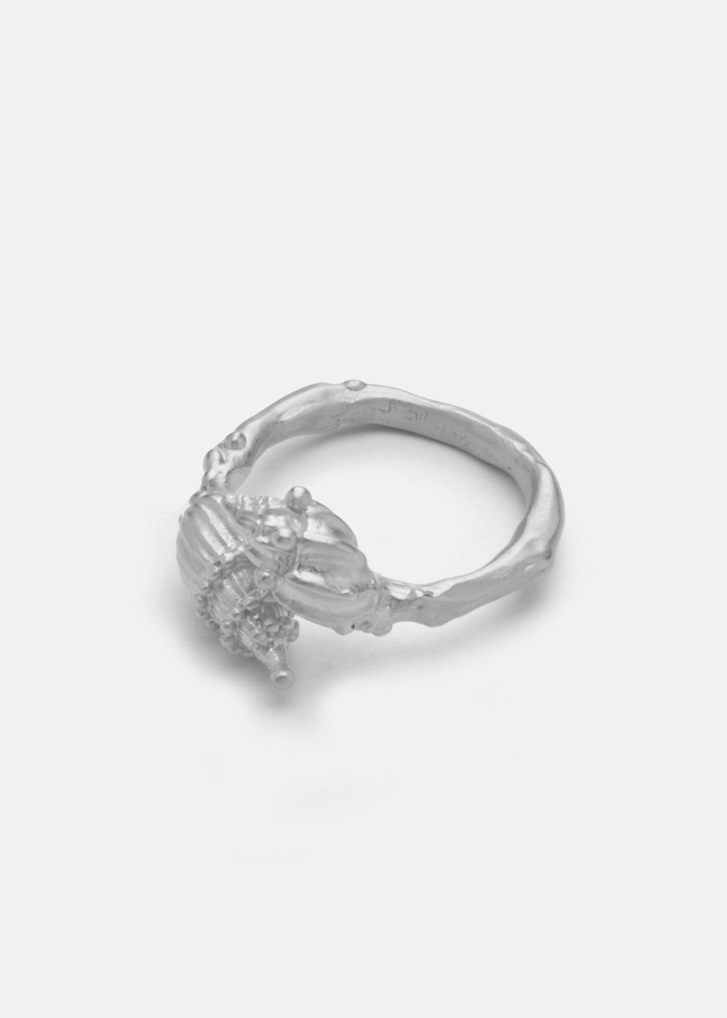 Shell Ring