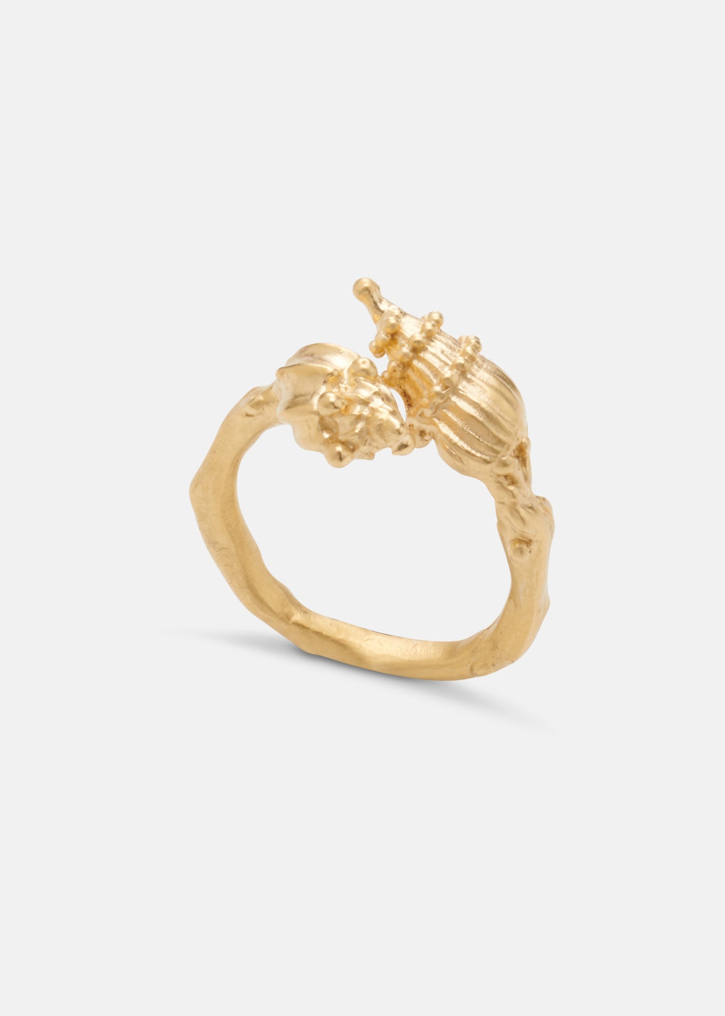 Shell Ring