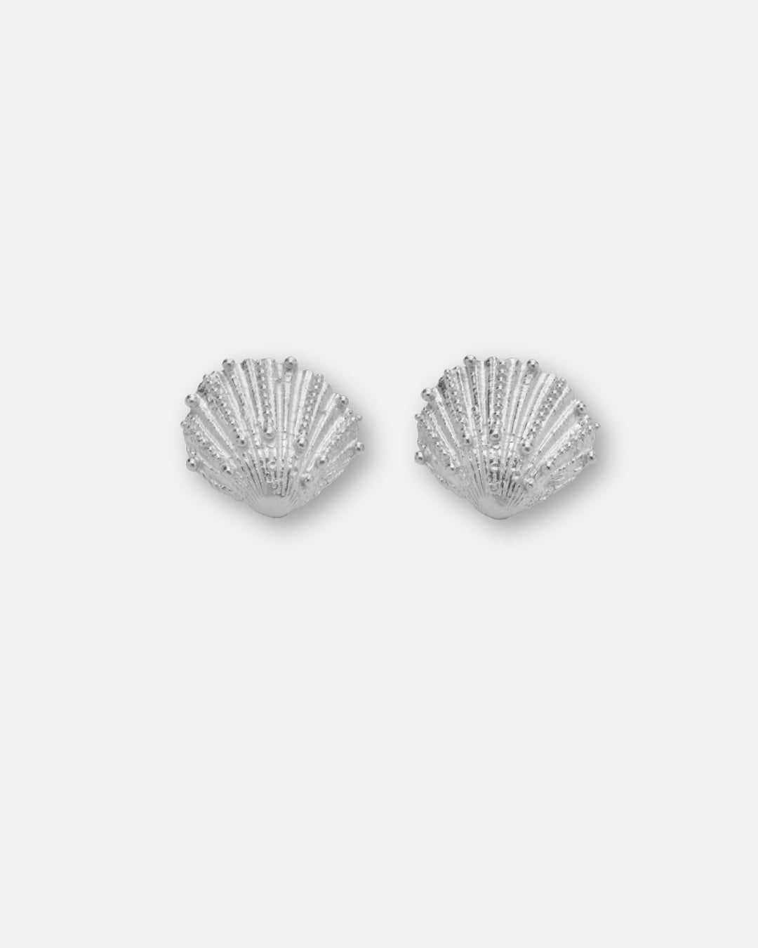 Shell Studs
