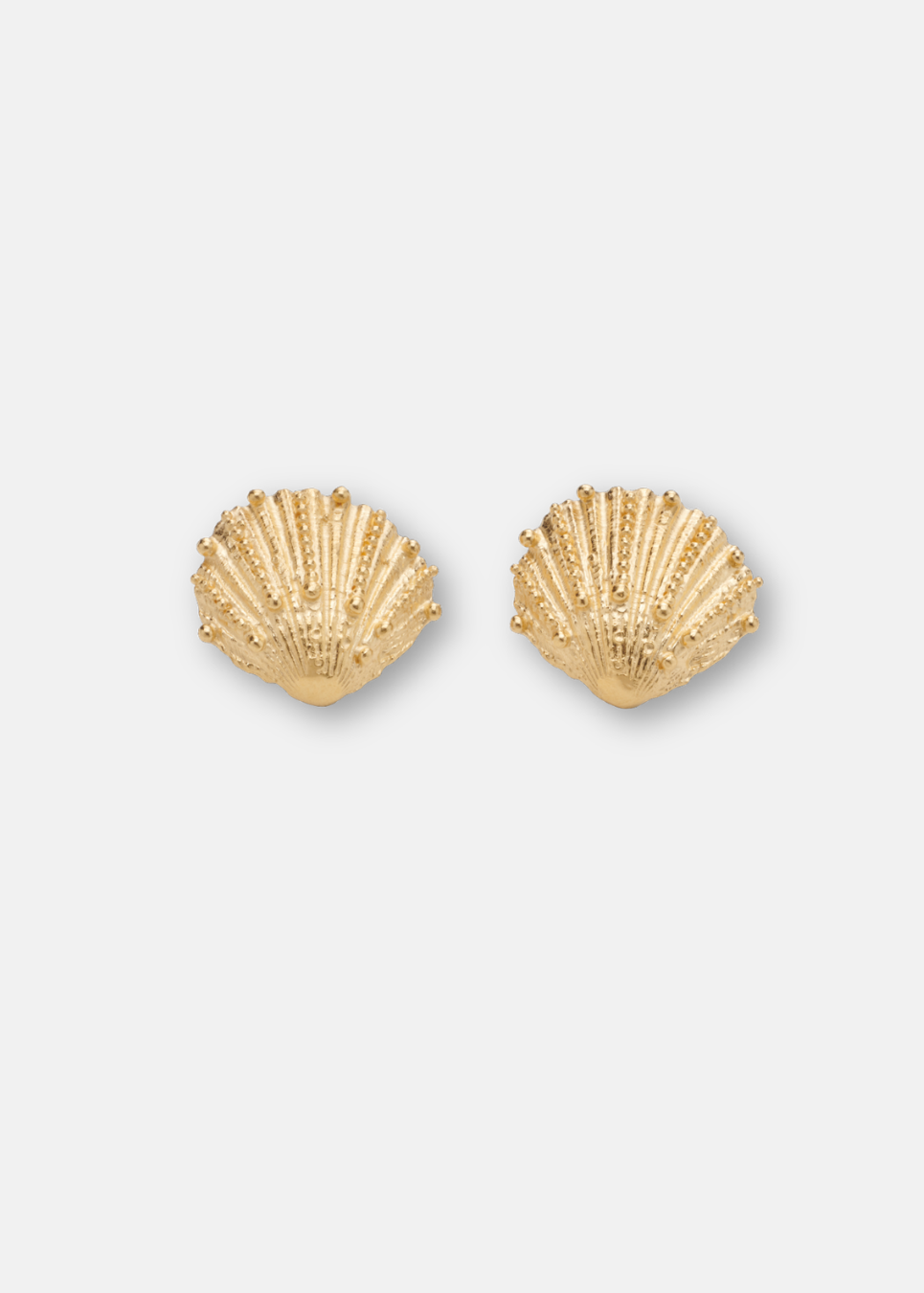 Shell Studs