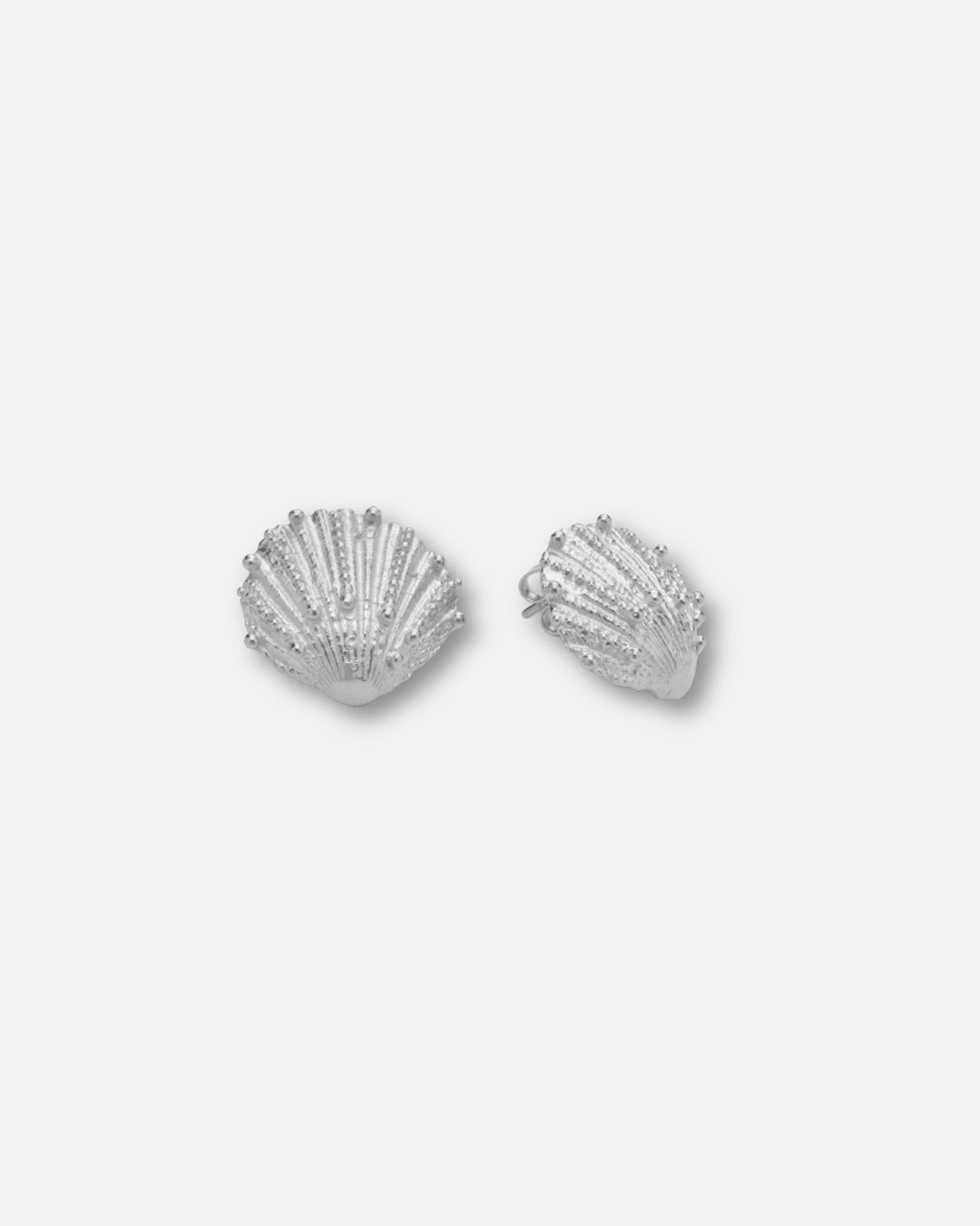 Shell Studs