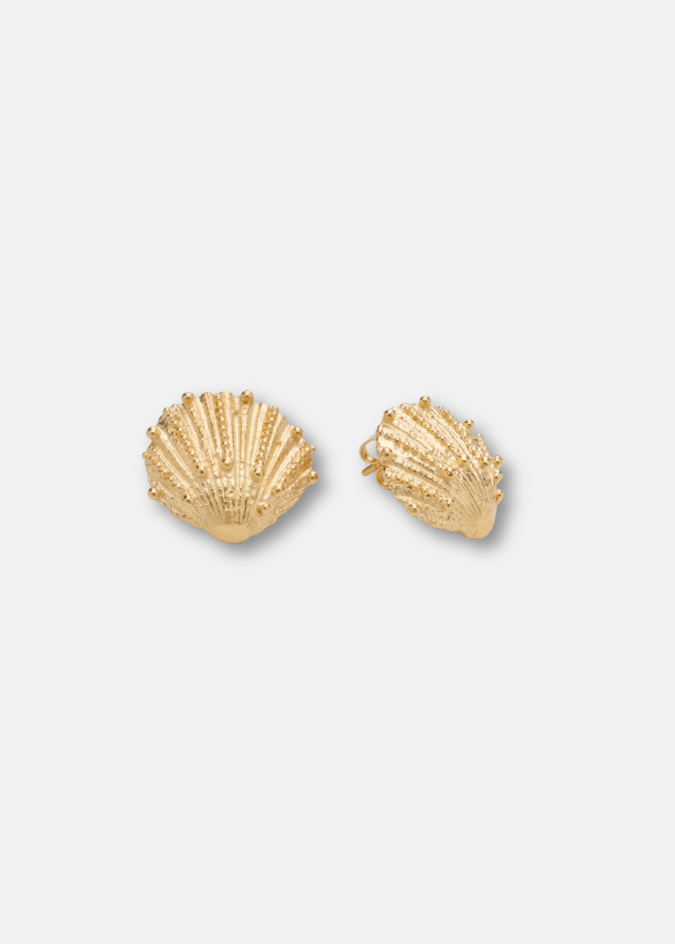 Shell Studs