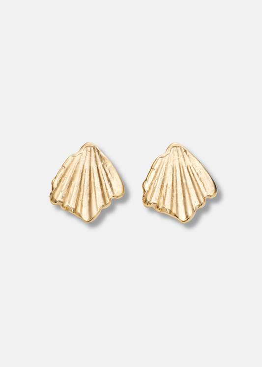 Big Shell earrings