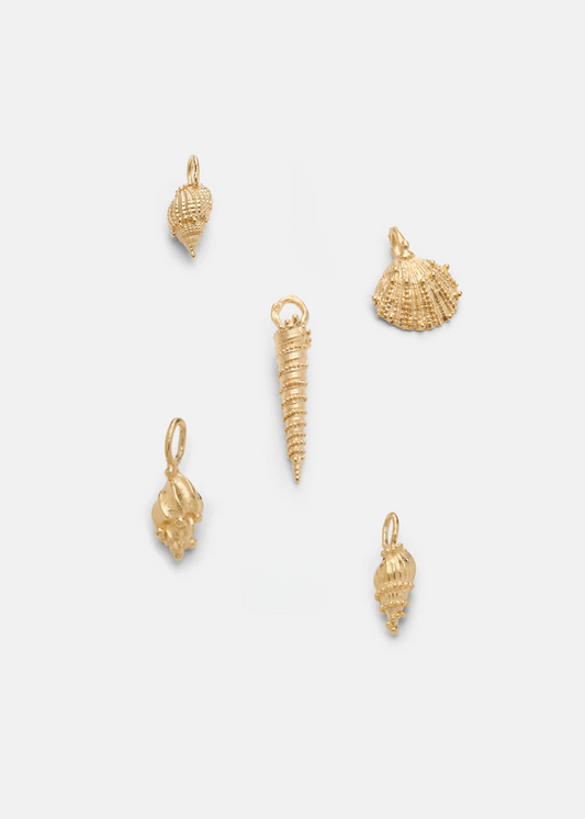 Shell Charms